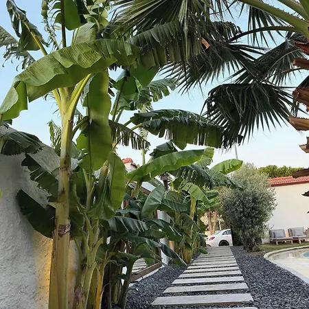 Molen Alacati Hotel Çeşme